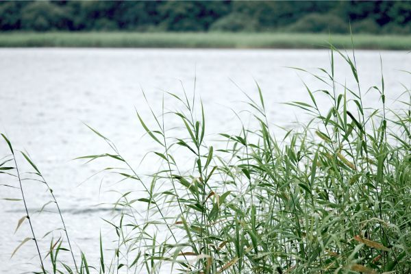 bild-106C08AE2CC-BA75-66F1-03A5-5D097AB60D6F.jpg