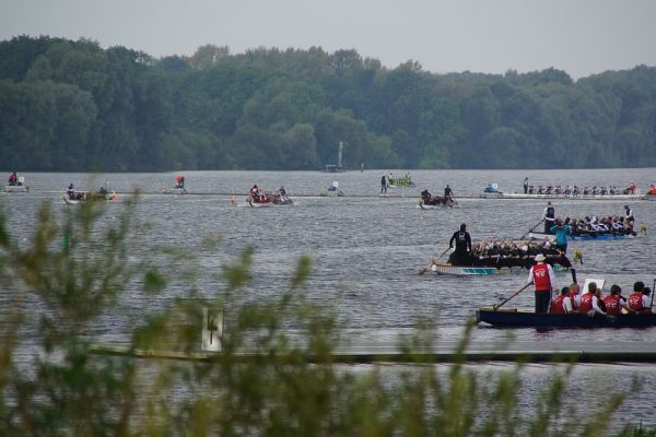 dsc02076-jpg8F421F82-C774-9B33-01A4-77FDAF970E79.jpg