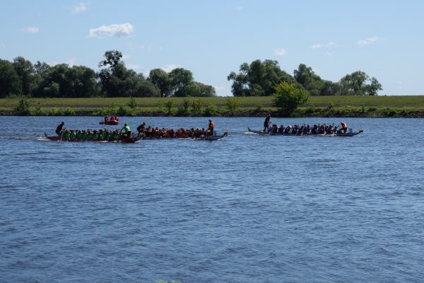 dsc0827430F966E6-719D-91FC-DC0D-16D17DB4FEF8.jpg