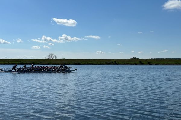 gujd720191B26EA0-6BD0-B1B9-C5BB-12BB4D5C0F95.jpg