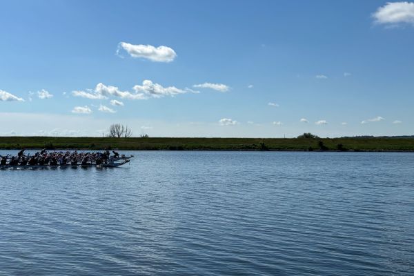 hjdv4174B1F260BB-2DA3-D471-8029-2CDF946E9A44.jpg
