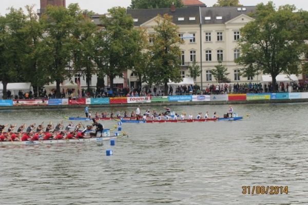 img-0006-jpg33D9320E-E88C-07EF-C798-496075C7EC1C.jpg